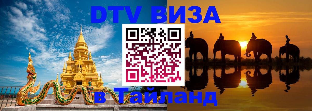 Оформление DTV визы под ключ: стоимость и тарифы, только загранпаспорт - 
